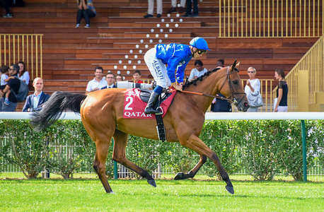 Actualités Hippiques